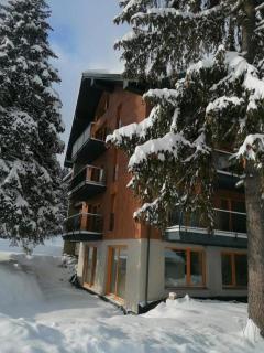 Villa Erdődy Resort - Apartmán U veveričky - Oravská Lesná - 0