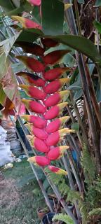 Casa de Campo , Lagoa Nova - Linhares ES - 5