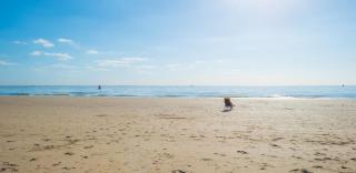 Suites aan Zee - Vlissingen - 8