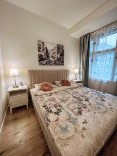 Stylish 1 bedroom plus office at amazing location - Prague - 5