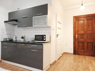 Apartamenty nad Wisłą - Toruń - 7