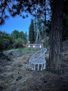 Runaway Express Coach - 4