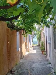 Saint-Gervais - Lectoure - 9