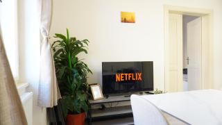 Flat with Balcony and Garage - Prague - 3