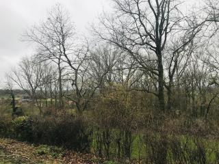 Panacée Guesthouses - Ronse - 8