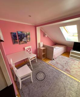 Аpartment for Lady - Chernivtsi - 8