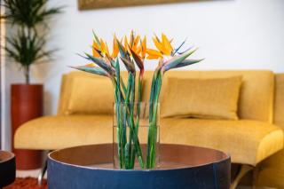 Riad Grenade Exclusif Front Bahia - Marrakesh - 3