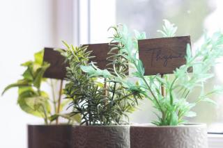 Flat 3 Willow Brook - Bedworth - 6