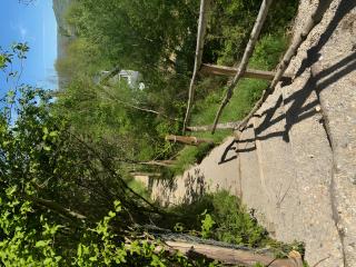 Tiny House au coeur de la nature - 3