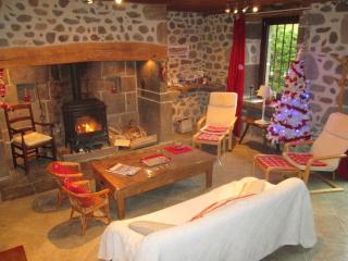 Gîte de l'Abreuvoir - Vic-sur-Cère - 8