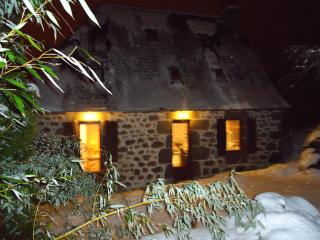 Gîte de l'Abreuvoir - Vic-sur-Cère - 5