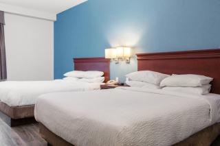 Signature Stay Inn & Suites - Downtown Hamilton - Hamilton - 4