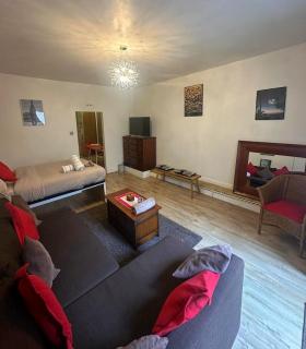 Spacious private studio - Londra - 9