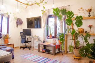 Lupeni Alley cozy central apartment&private garden - Braşov - 9