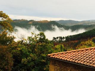 Petite terrasse en Cévennes - Peyremale - 0