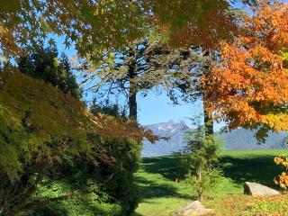 Awesome 2BR in Lynn Valley - 2