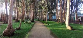 Espectacular departamento en Algarrobo - Algarrobo - 7