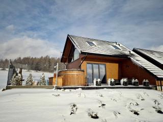 COSY CABINS - las, jezioro, góry, prywatna sauna, balia, tężnia - Kluszkowce - 6