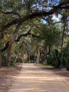 Beachbound Bungalow Half Acre Lush Landscaping - Palm Coast - 5