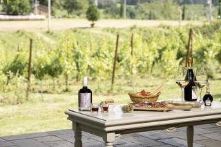 La Ca dal Non Bioagriturismo - Alpenice - Savignano sul Panaro - 6