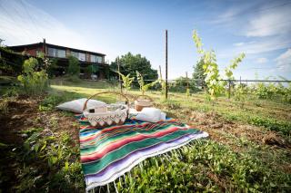 La Ca dal Non Bioagriturismo - Alpenice - Savignano sul Panaro - 8