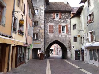 Le41Annecy T2 40m2 old town private parking - Annecy - 5
