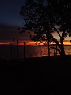 Coco Huts Guest House - Waisai - 5