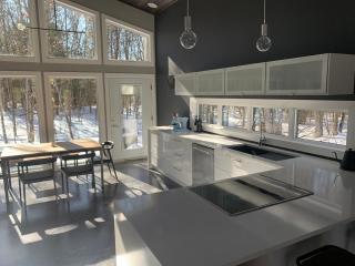 McCracken's Mid Century Modern Luxury Cottage - Burleigh Falls - 8