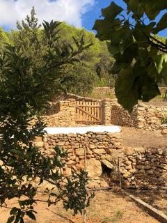 New! Villa Can Mariano - Sant Carles de Peralta - 6