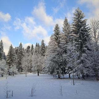Wind & Water - Delnice - 9