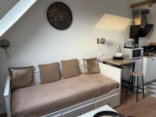 Studio Airport CDG - Asterix - Parc des Expo - 9