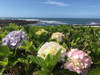 Excelente, Frente al mar con Jardín propio - 5