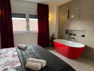 Luxury apartment Gabi 2 - Slavonski Brod - 2