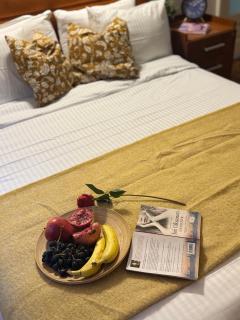 Romantic Bathtube Cismigiu Park 2 Room Apartament - Bucharest - 7