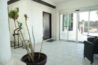 Hotel María Celeste - San Quintín - 8