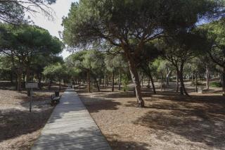 Pinos-los Corrales by Staycare - Rota - 3