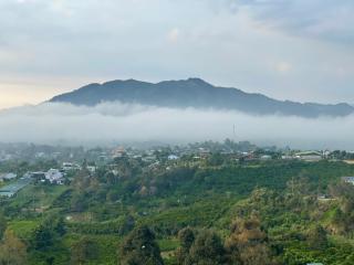 Homestay Chân Quê - Bảo Lộc - 8