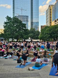 UT Hook 'em Horns SkyLoft - 1