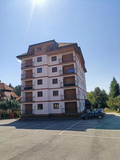 Rosa Lux 25 - Zlatibor - 0