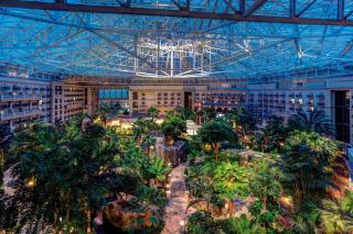 Gaylord Palms Resort & Convention Center - Orlando - 9