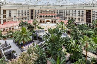 Gaylord Palms Resort & Convention Center - Orlando - 4