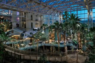 Gaylord Palms Resort & Convention Center - Orlando - 1