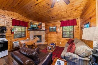 Cabin 4 Studio Cabin with Hot Tub, Nature Trails and Fire Pit - Sevierville - 9