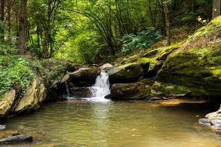 Cabin 4 Studio Cabin with Hot Tub, Nature Trails and Fire Pit - Sevierville - 1