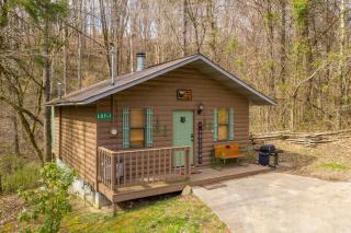 Bear Mountain Hollow-FREE Dollywood ticket- cozy cabin with a hot tub, arcade & deck close to town - 0