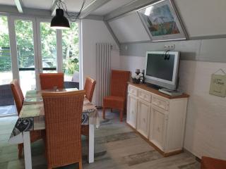 Charming Bungalow Near the Beach - Sint Maartensbrug - 3