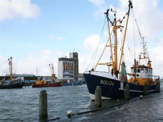 Apartment in Groede near sea beach - Groede - 2