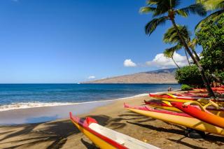 Oceanview Condo - Lanai AC Steps to Beach & Pool - Kihei - 9