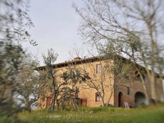 Fattoria Barbialla Nuova - Montaione - 7