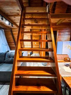 Cabanas da Mata Com Vista para as Montanhas na Serra Gaúcha - 3